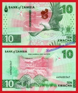 ZAMBIA 10 Kwacha 2024 Pick nuevo  SC / UNC