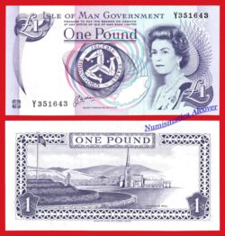 ISLA DE MAN 1 Libra 1991 Isabel II Pick 40c  SC  /  UNC