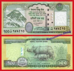 NEPAL 100 Rupias rupees 2015 Rinoceronte Pick 80  SC  / UNC