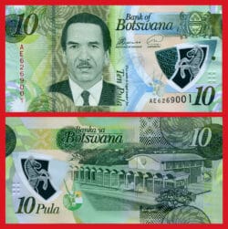 BOTSUANA 10 Pula 2018 Polímero Pick 35