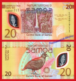 SAMOA 20 Tala 2023 (2024) Polímero Pick NUEVO  SC
