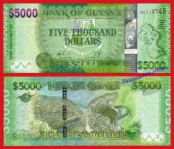 GUYANA 5000 Dólares 2011 Pick 40  SC